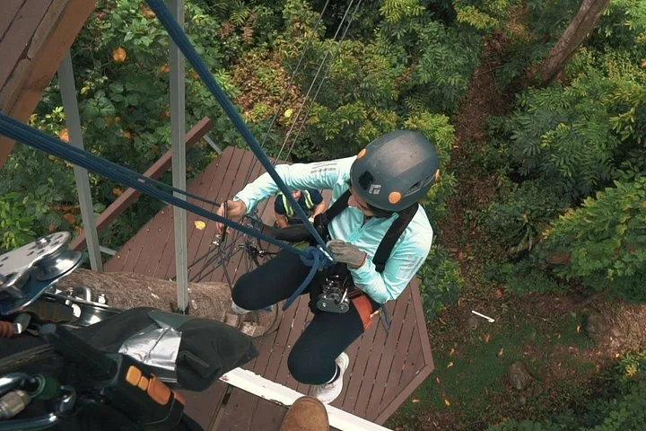 JungleQui Zipline-Park: 9 Strecken & 2 Abseilstellen